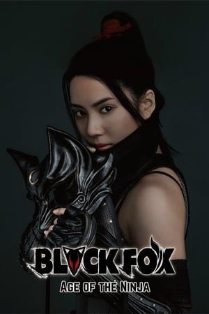 Black Fox: Age of the Ninja 2019 Hindi Dual Audio – HD Poster Download - filmyfly