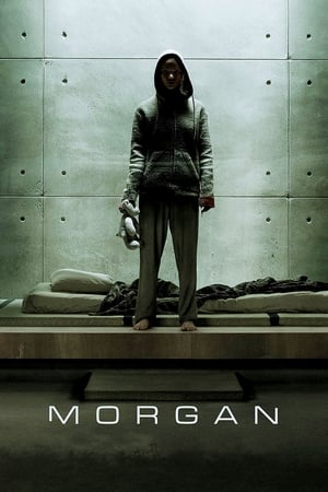 Morgan (2016) Hindi Dual Audio 300MB HD Poster Download - filmyfly