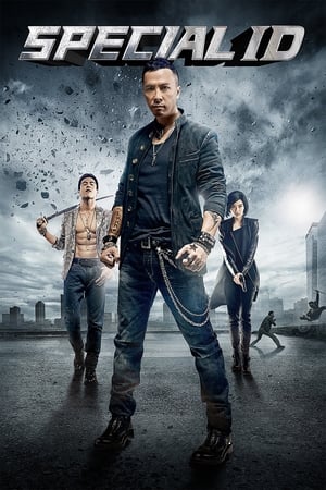 Special ID (2013) Hindi Dual Audio 300MB ESubs HD Poster Download - filmyfly